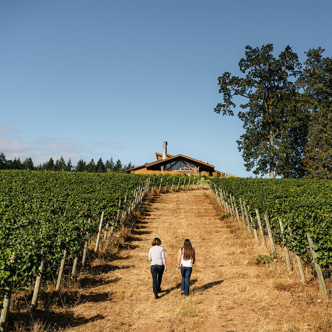 Two people walking in the Penner-Ash vineyard.